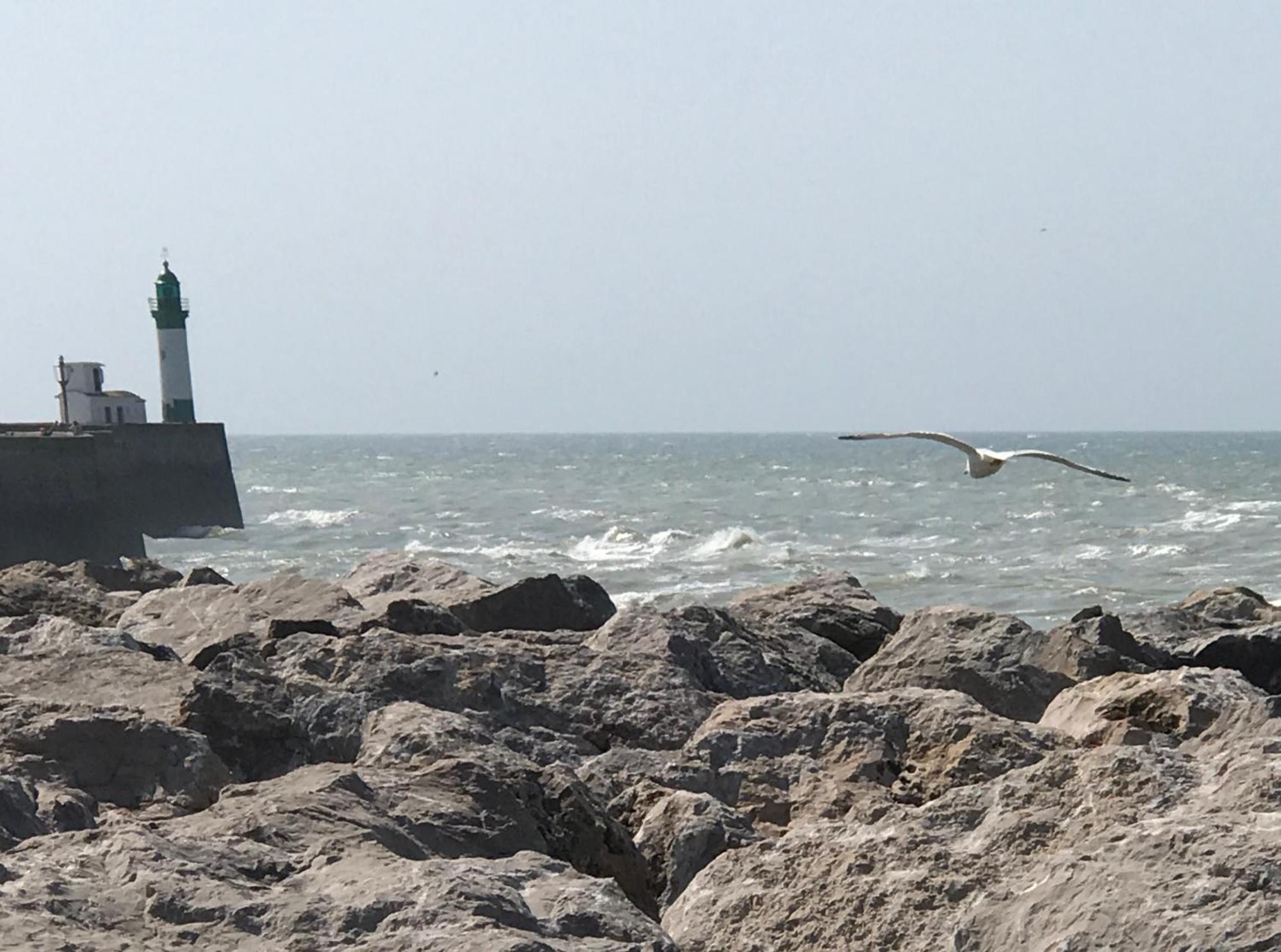 Appartamento Au P'Tit Bonheur Baie De Somme Nibas Esterno foto